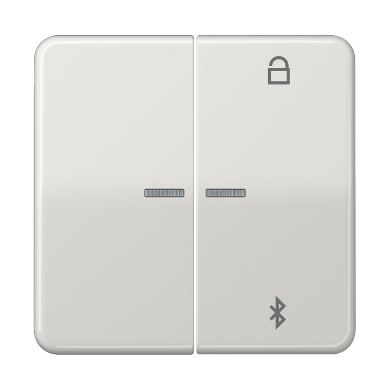 Изображение CD1751BTLG  Таймер универсальный Bluetooth - завод JUNG