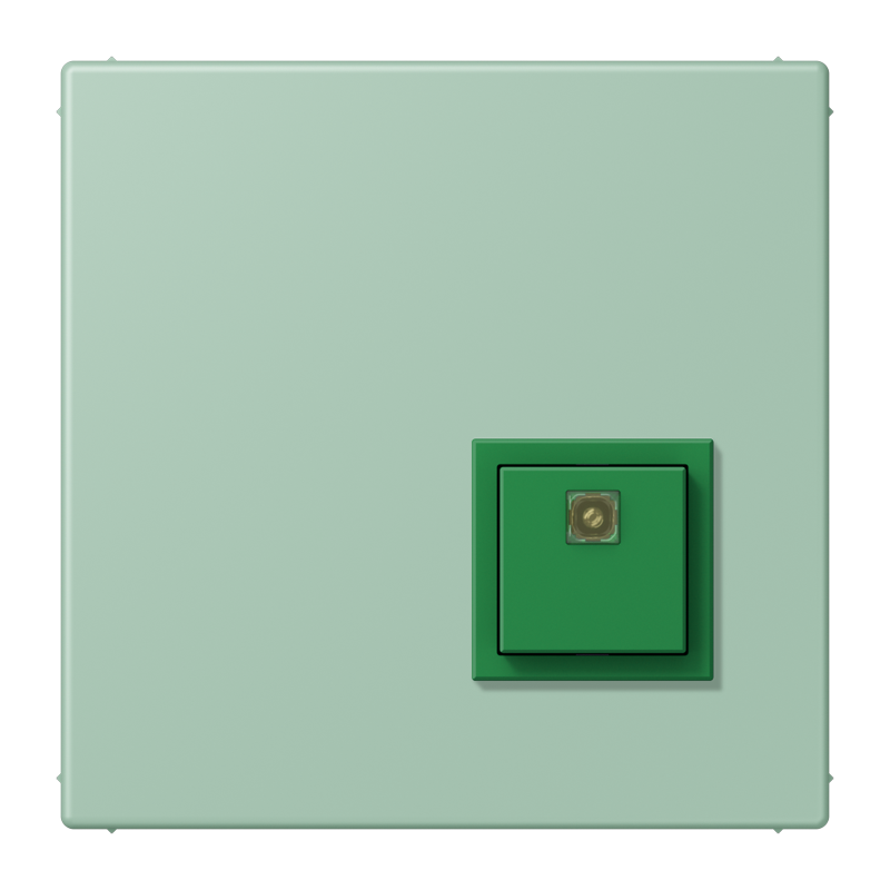 Изображение NRSLC0834AT217  Reset button - завод JUNG