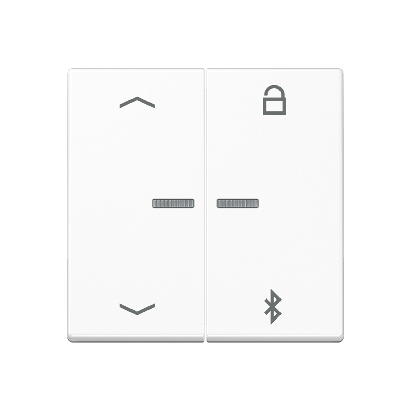 Изображение A1751BFPBTWW  Таймер универсальный Bluetooth «стрелки» - завод JUNG