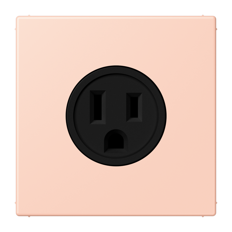 Изображение LC521-15234  Socket, US NEMA system - завод JUNG