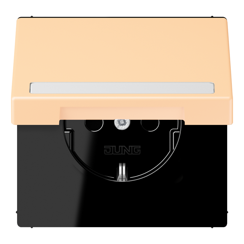 Изображение LC1520BFNAKL223  SCHUKO®-розетка 16 A / 250 B ~ - завод JUNG