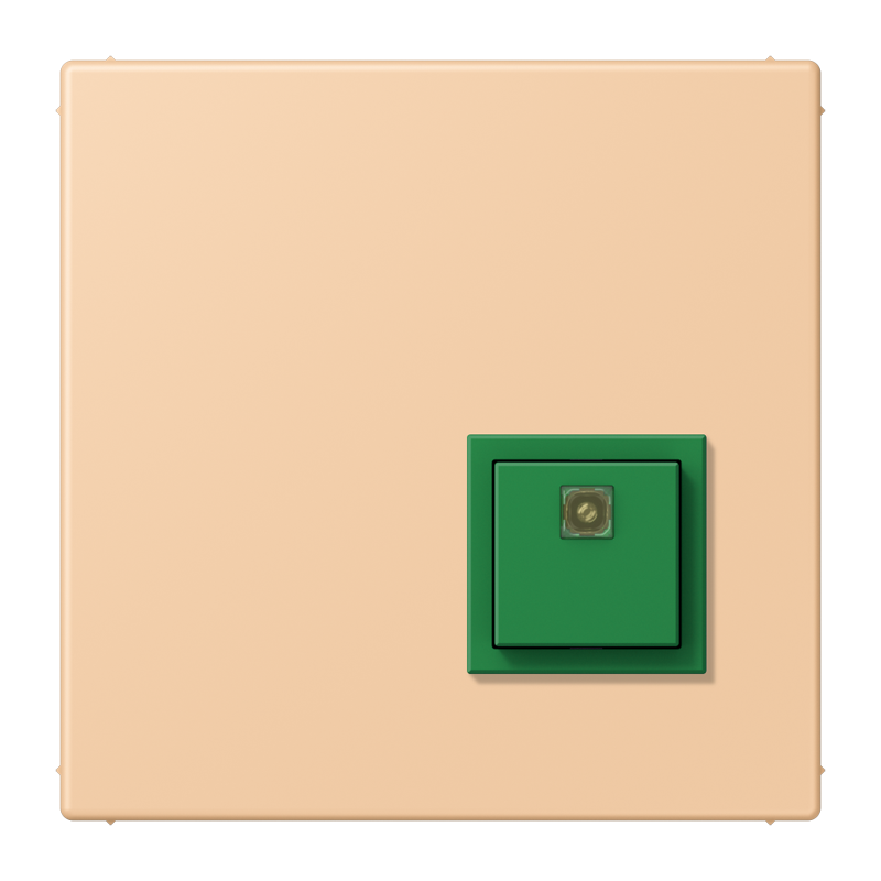 Изображение NRSLC0834AT237  Reset button - завод JUNG