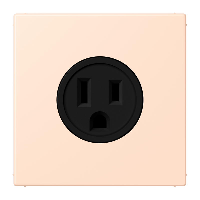 Изображение LC521-15228  Socket, US NEMA system - завод JUNG