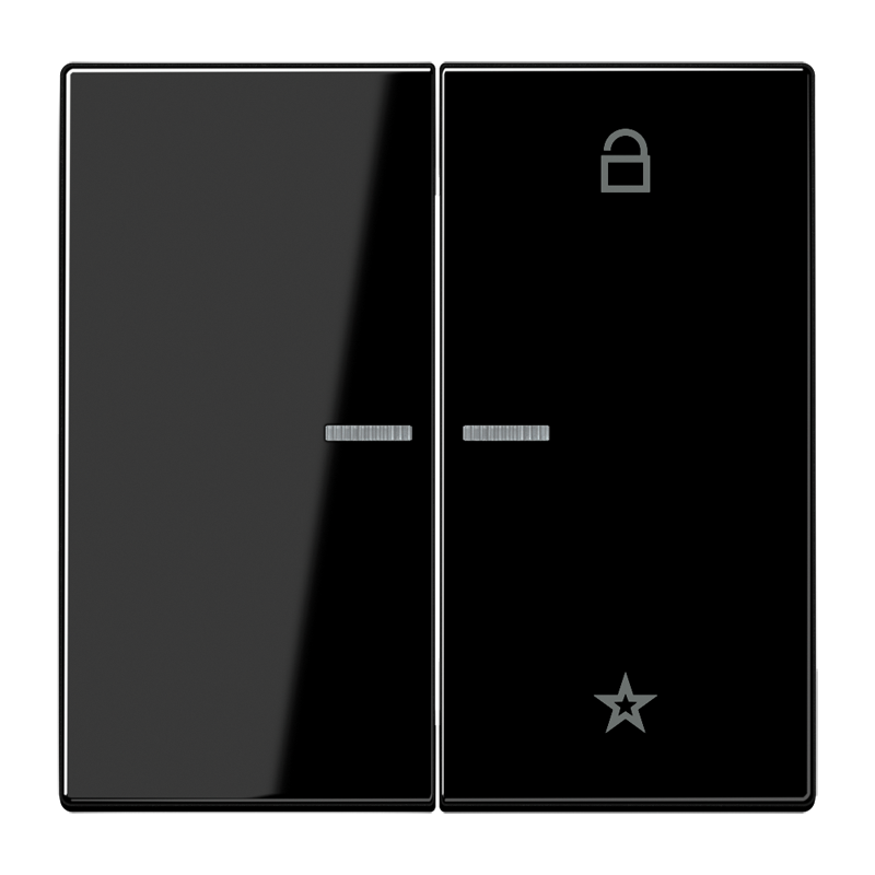 Изображение LS1701SW  Центральная плата универсальная - завод JUNG
