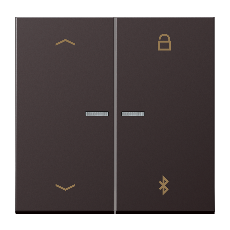 Изображение AL1751PBTD  Таймер универсальный Bluetooth «стрелки» - завод JUNG
