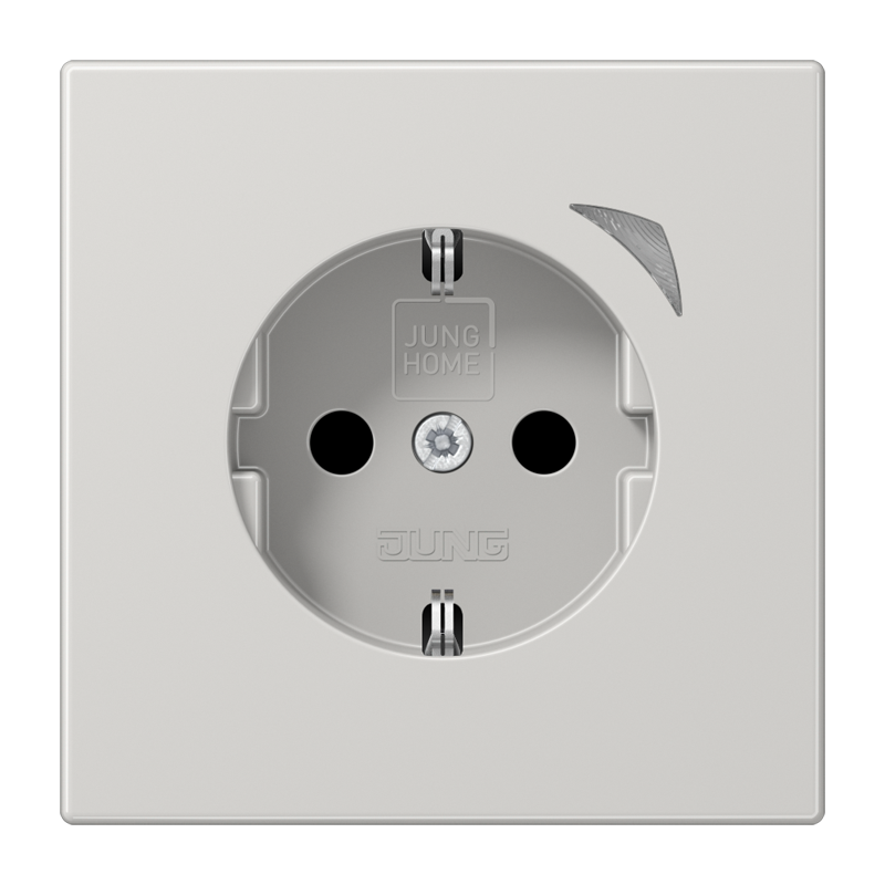 Изображение BTLS1521SELG  JUNG HOME SCHUKO® розетка Energy - завод JUNG
