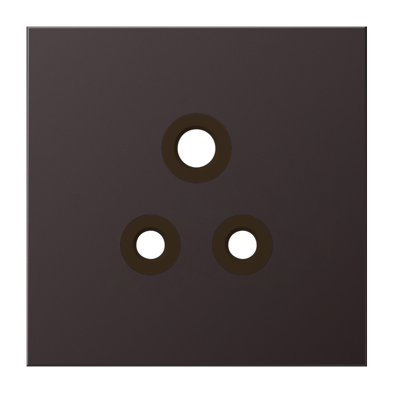 Изображение BS2171-5ALDPL  Накладка - завод JUNG