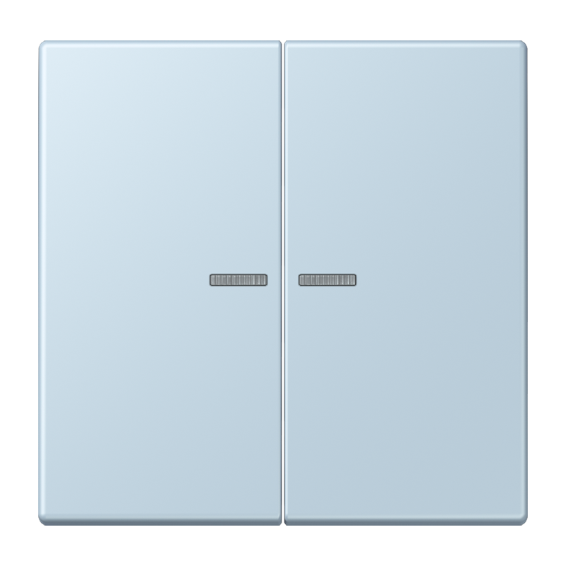 Изображение LC102KO5208  Клавиша с окошком - завод JUNG