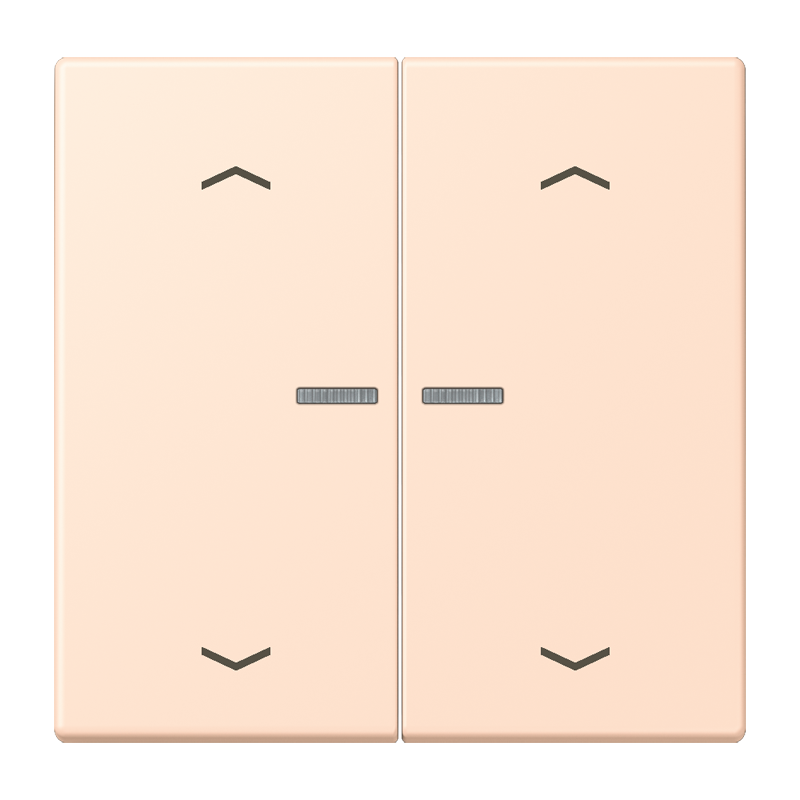 Изображение BTLC17102P228  JUNG HOME кнопка, 2 группы с символами «стрелки» - завод JUNG