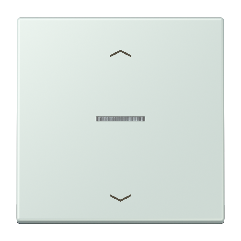 Изображение BTLC17101P215  JUNG HOME кнопка, 1 группа с символами «стрелки» - завод JUNG