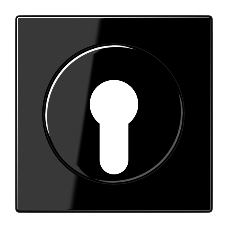 Изображение LS928SW  Kрышка - завод JUNG