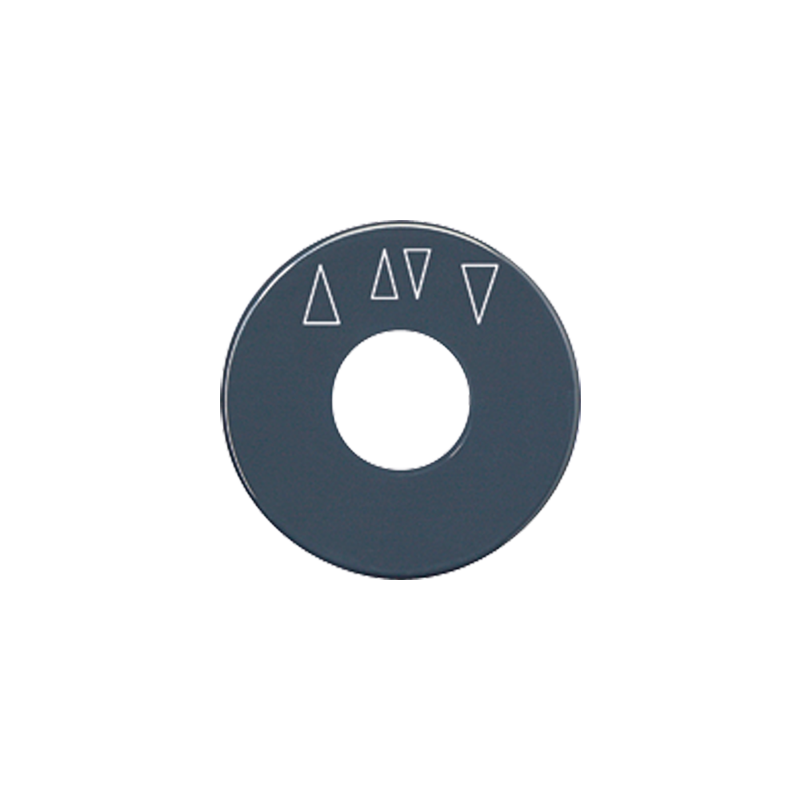Изображение SKS1234.10  Дополнительная шкала - завод JUNG