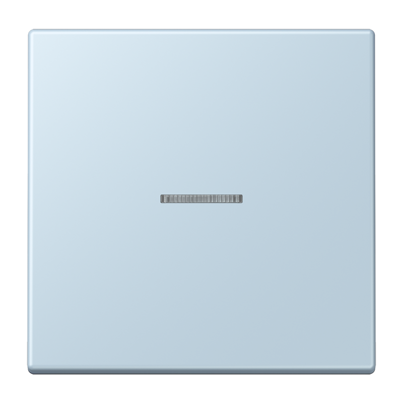 Изображение LC101KO5208  Клавиша с окошком - завод JUNG