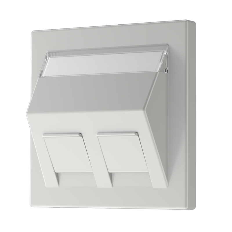 Изображение LS569-30BFPLLG  Kрышка с полем для надписи 9 x 51 мм - завод JUNG