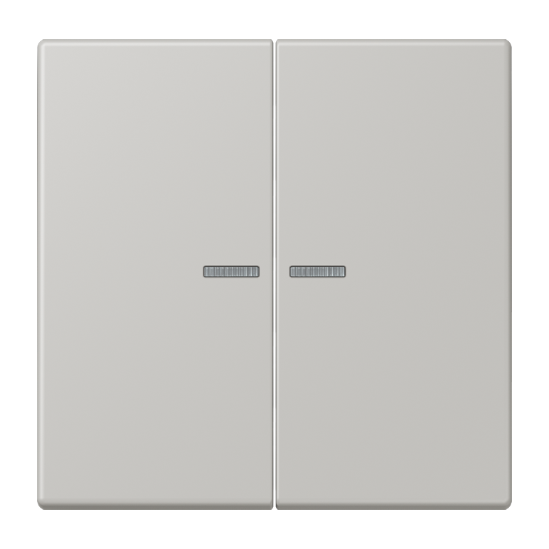Изображение LC102KO5205  Клавиша с окошком - завод JUNG