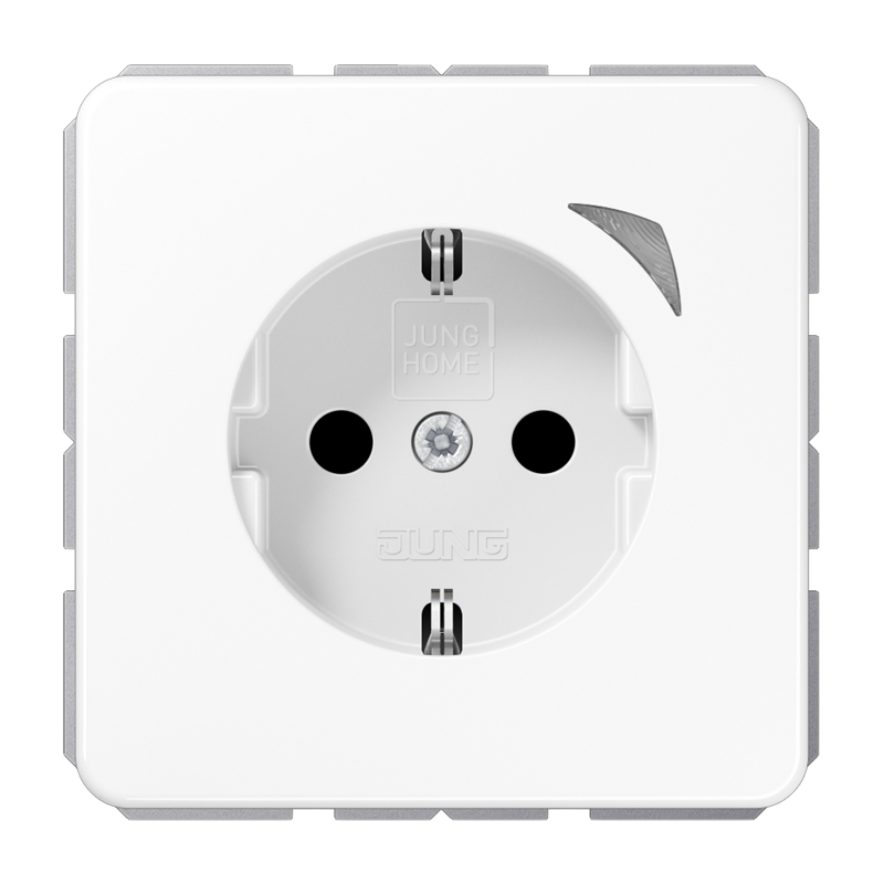 Изображение BTCD1521SEWW  JUNG HOME SCHUKO® розетка Energy - завод JUNG