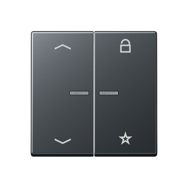 Изображение FMA1701BFPANM  eNet центральная плата «стрелки» - завод JUNG