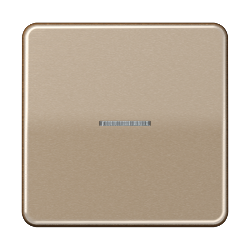 Изображение CD10911STRFGB  KNX RF кнопка, 1 группа - завод JUNG