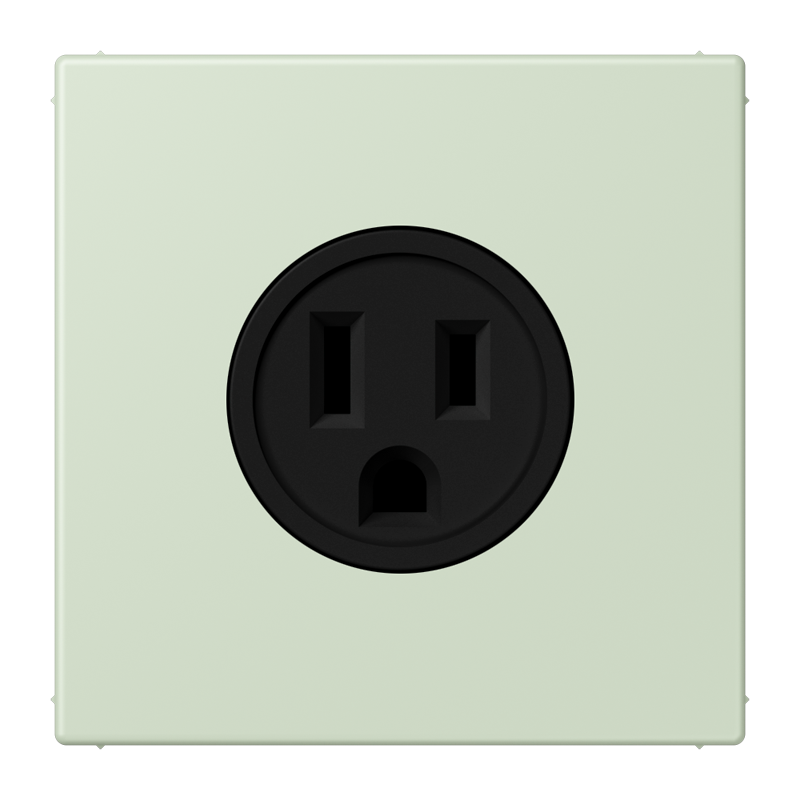 Изображение LC521-15218  Socket, US NEMA system - завод JUNG