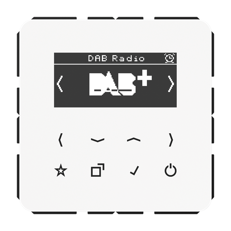 Изображение DABCDWW  Смарт радио DAB+ - завод JUNG