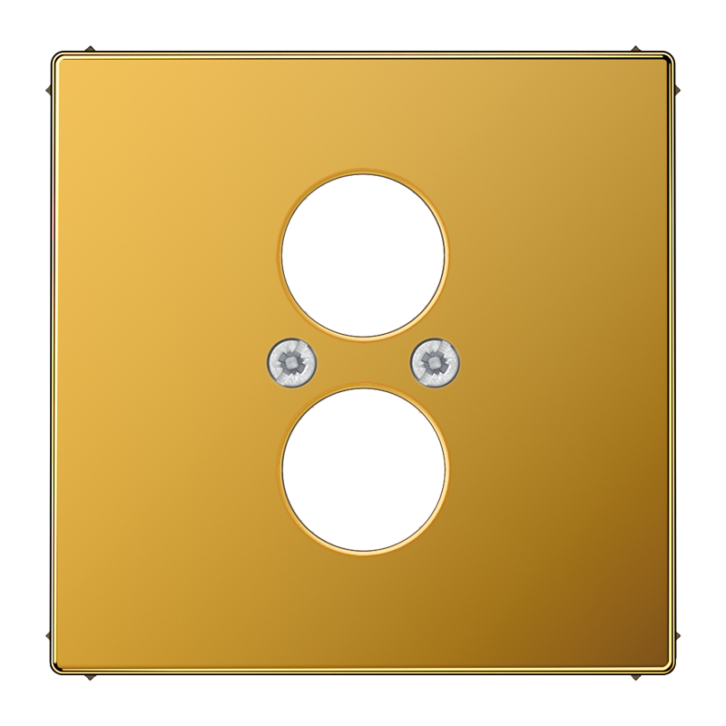 Изображение LS962GGO  Накладка с несущей платой для 2-х акустических гнёзд - LS (золото) - завод JUNG