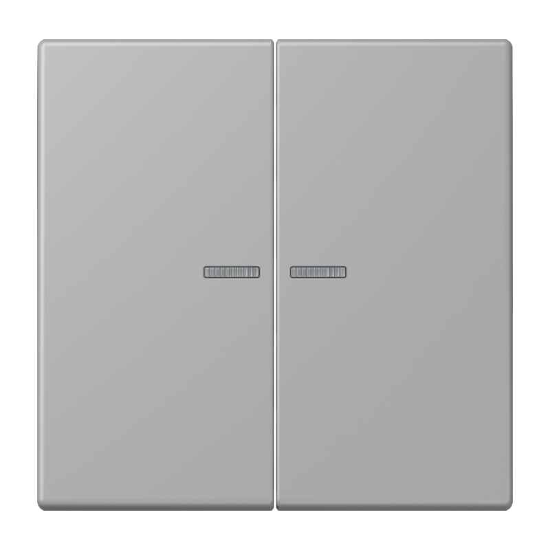 Изображение LC102KO5204  Клавиша с окошком - завод JUNG