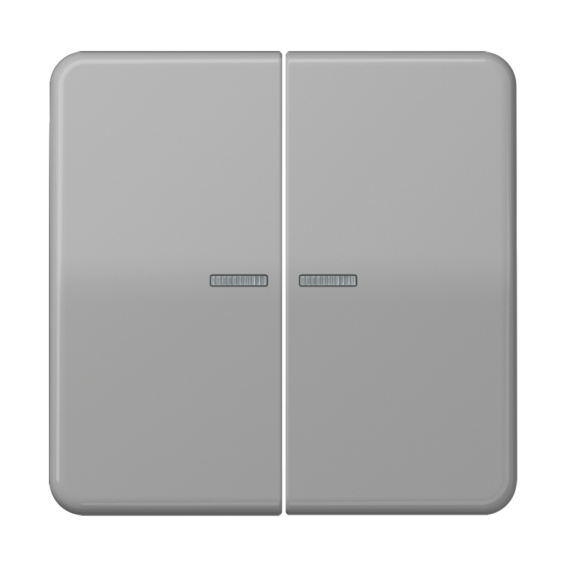 Изображение CD10921STRFGR  KNX RF кнопка, 2 группы - завод JUNG