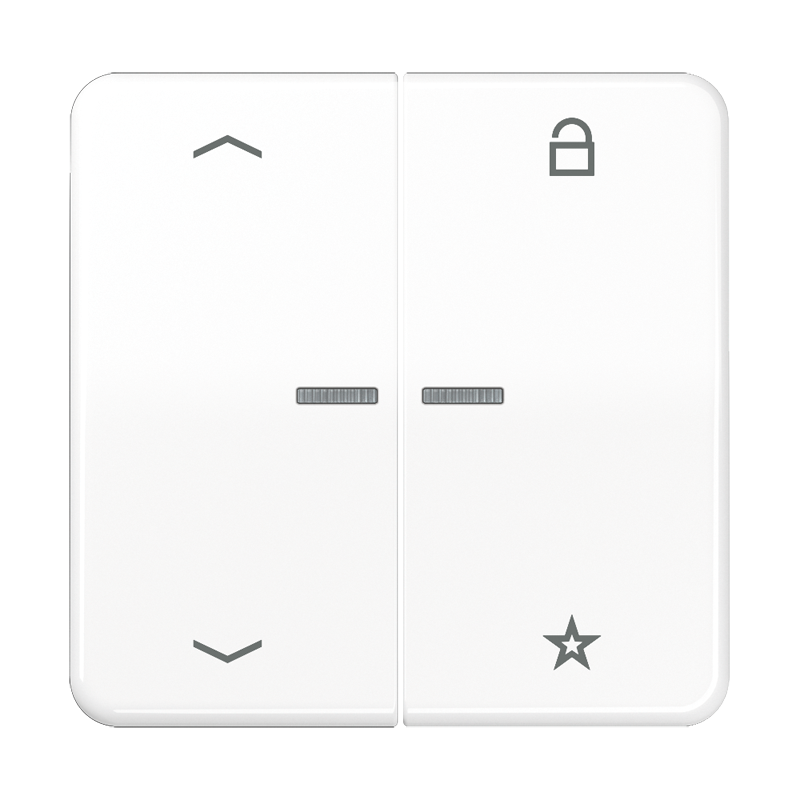 Изображение FMCD1701PWW  eNet центральная плата «стрелки» - завод JUNG