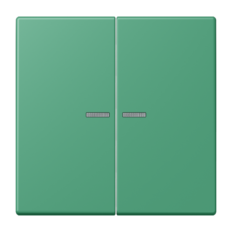 Изображение LC102KO5250  Клавиша с окошком - завод JUNG