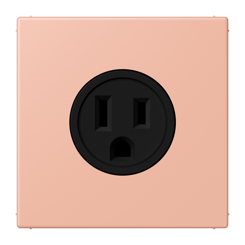 Изображение LC521-15231  Socket, US NEMA system - завод JUNG