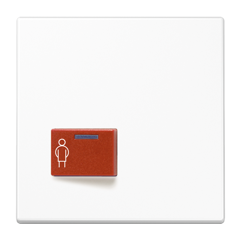 Изображение LS022A-1WW  Крышка для Ackermann, тип 73022 A 2 - завод JUNG