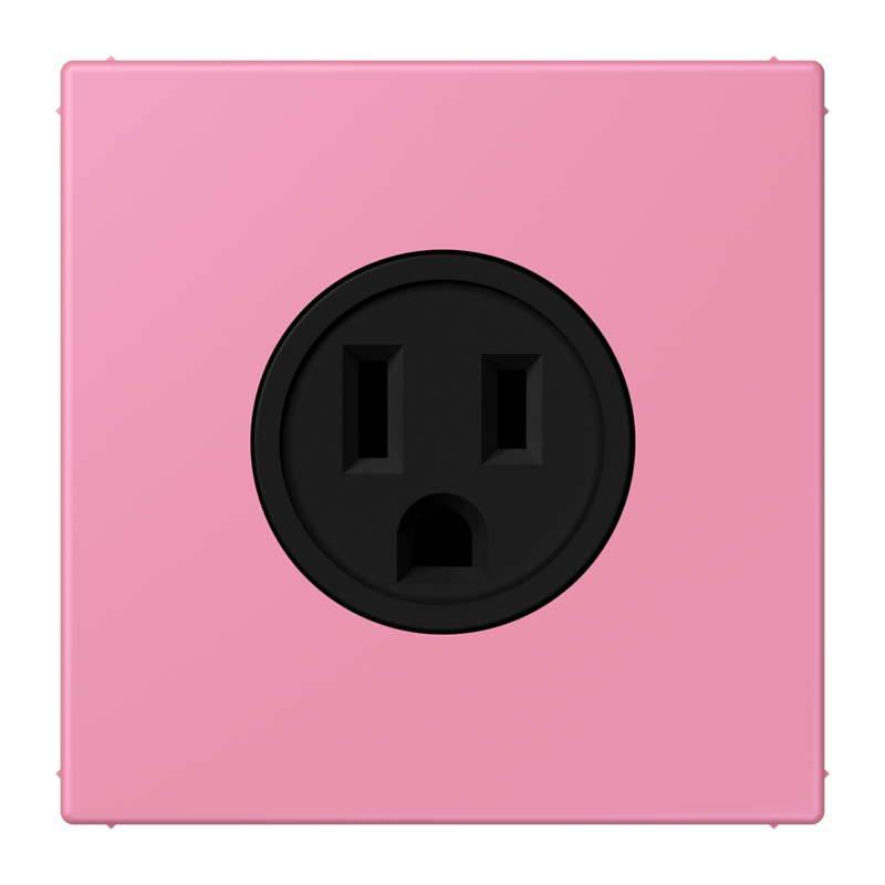 Изображение LC521-15246  Socket, US NEMA system - завод JUNG