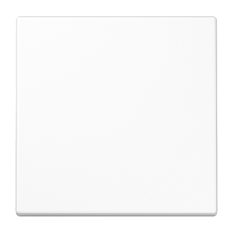 Изображение LS1700WW  Центральная плата стандарт - завод JUNG