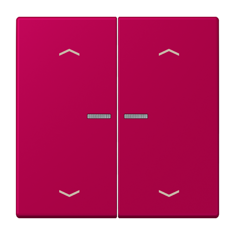 Изображение BTLC17102P230  JUNG HOME кнопка, 2 группы с символами «стрелки» - завод JUNG