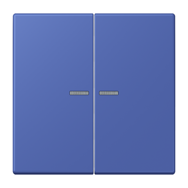 Изображение LC102KO5206  Клавиша с окошком - завод JUNG