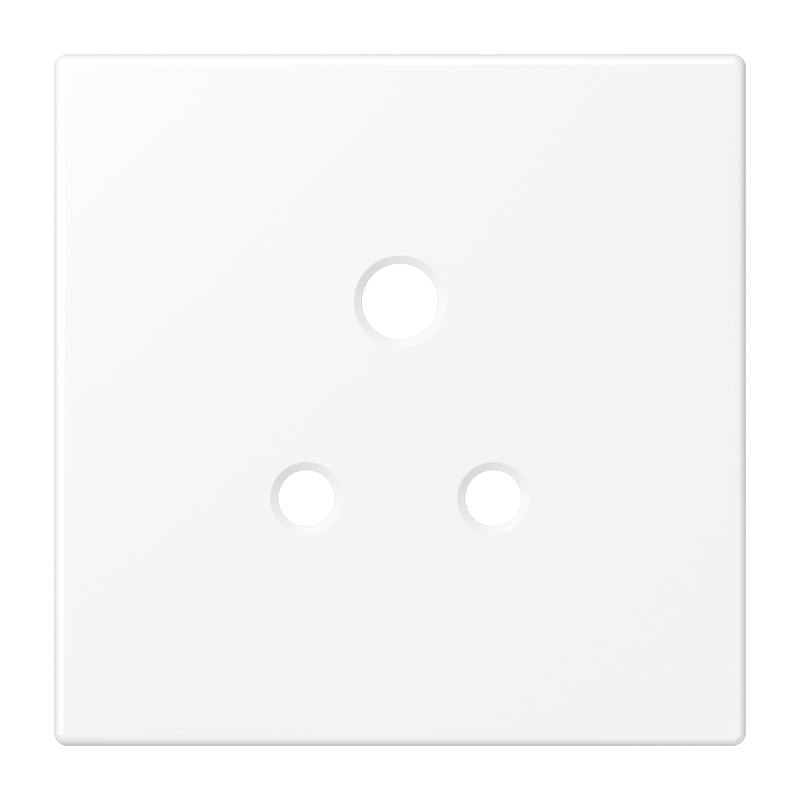 Изображение BS2171-5WWMPL  Накладка - завод JUNG