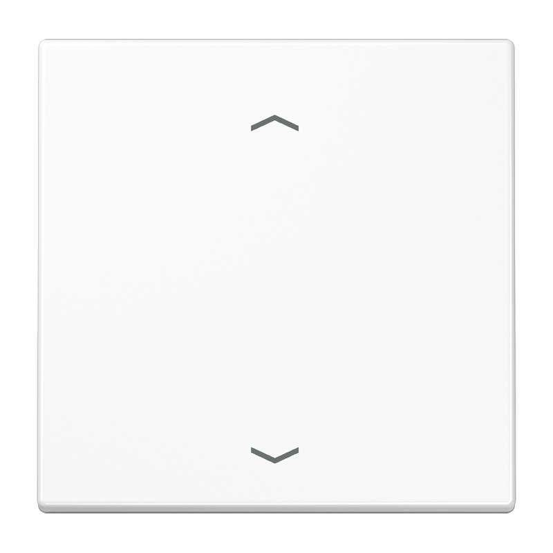 Изображение LS1700PWW  Центральная плата стандарт «стрелки» - завод JUNG