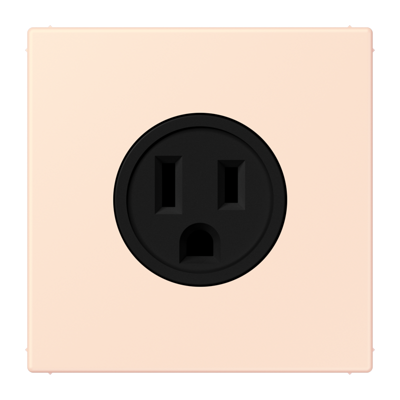 Изображение LC521-15226  Socket, US NEMA system - завод JUNG