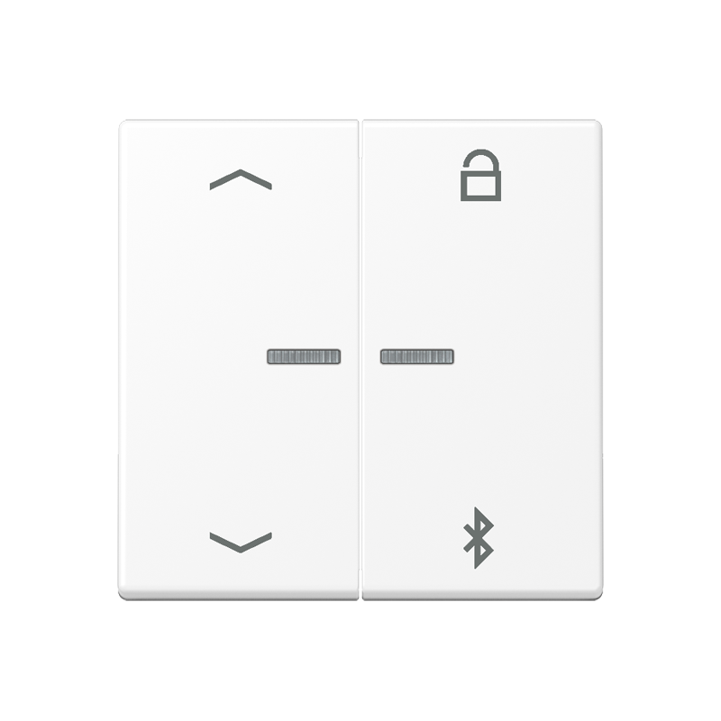 Изображение A1751BFPBTWWM  Таймер универсальный Bluetooth «стрелки» - завод JUNG