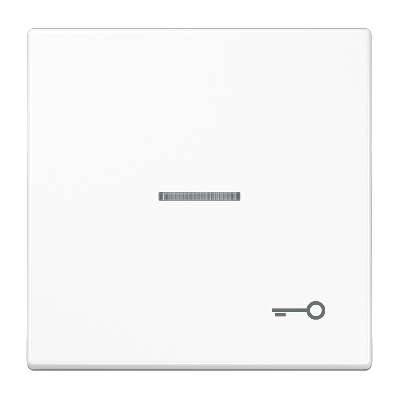 Изображение LS990KO5TWW  Kлавиша с символом «ключ» и окошком - завод JUNG