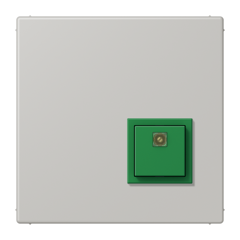 Изображение NRSLC0834AT205  Reset button - завод JUNG