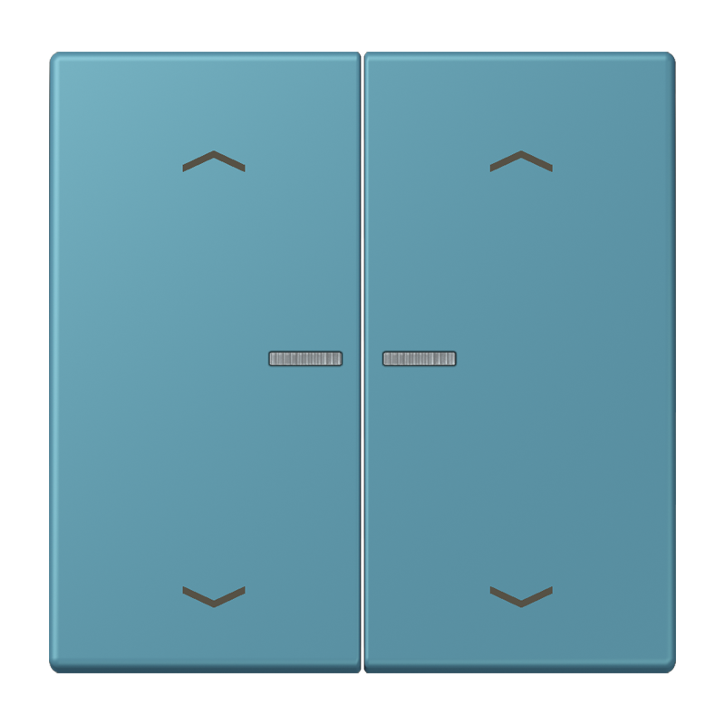 Изображение BTLC17102P212  JUNG HOME кнопка, 2 группы с символами «стрелки» - завод JUNG