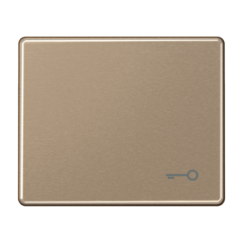 Изображение SL590TGB  Клавиша с символом «ключ» - завод JUNG