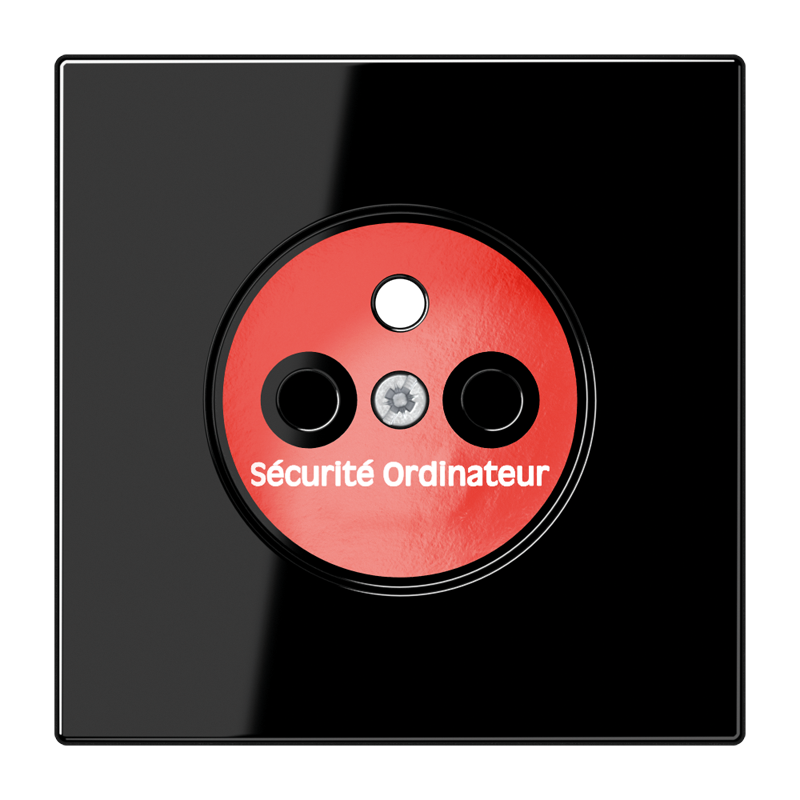 Изображение LS1521FKISWPL-5  Накладка - завод JUNG