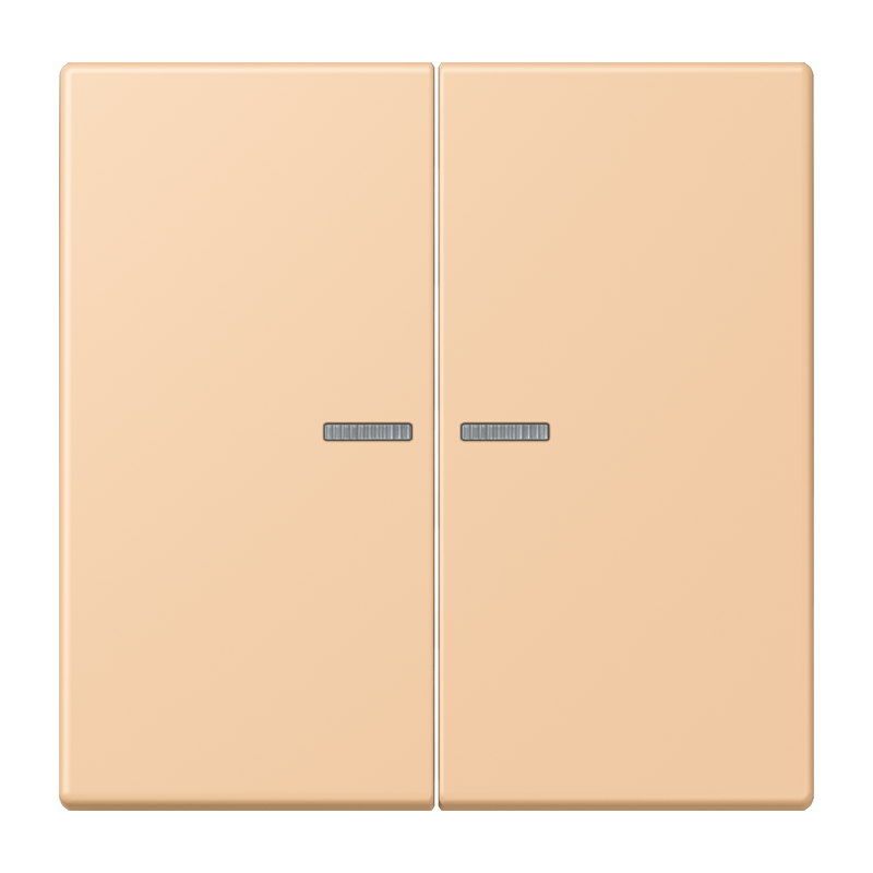 Изображение LC102KO5237  Клавиша с окошком - завод JUNG