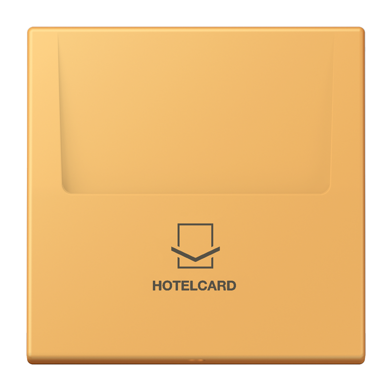 Изображение LC590CARD254  Накладка карточного выключателя (без механизма) - завод JUNG