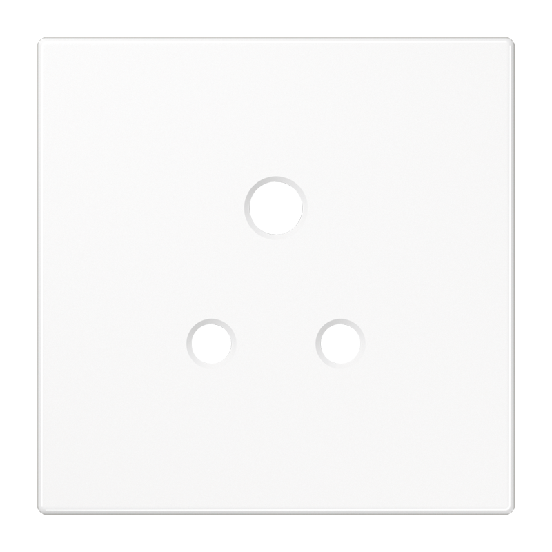 Изображение BS2171-5WWPL  Накладка - завод JUNG