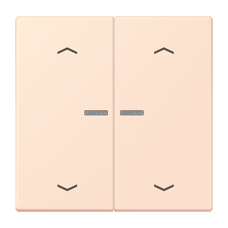 Изображение BTLC17102P226  JUNG HOME кнопка, 2 группы с символами «стрелки» - завод JUNG