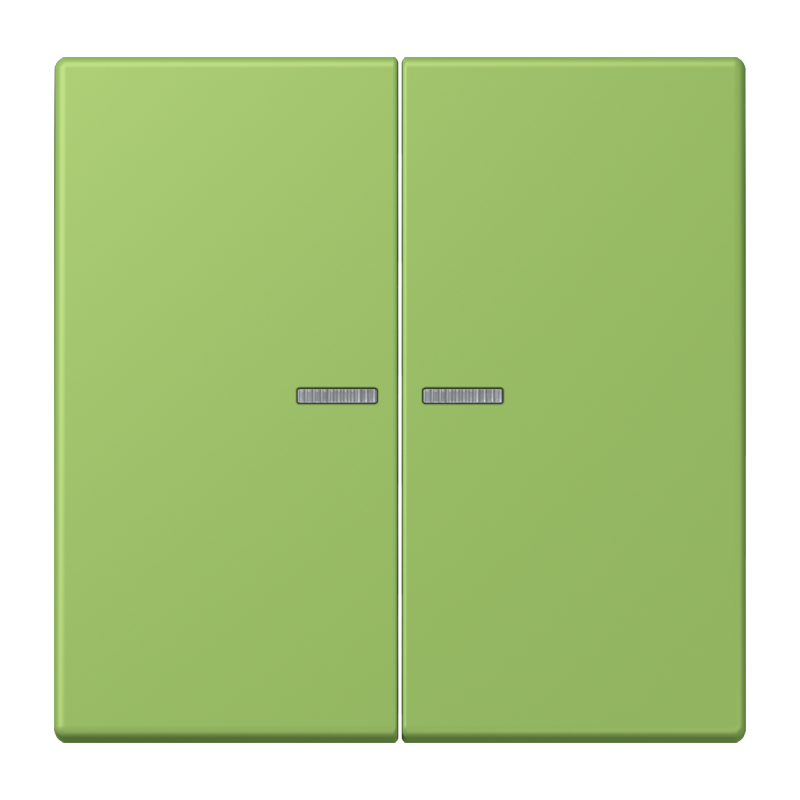 Изображение LC995KO5220  Клавиша с окошком - завод JUNG