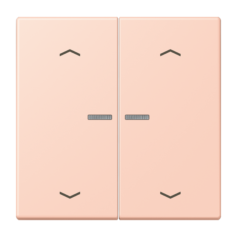 Изображение BTLC17102P234  JUNG HOME кнопка, 2 группы с символами «стрелки» - завод JUNG